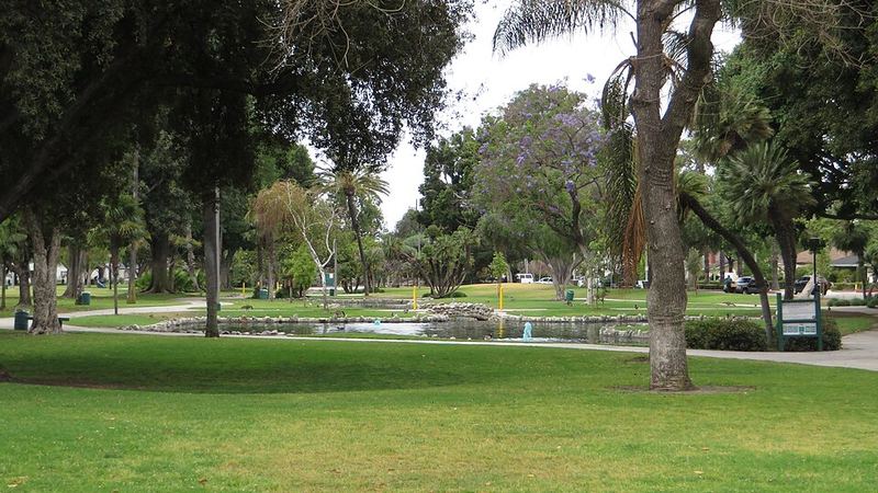 Palm trees, lawns, and a pond in Pearson Park, Anaheim, California.