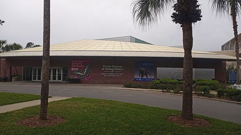 Florida Museum of Natural History exterior with palm trees in Gainesville, Florida