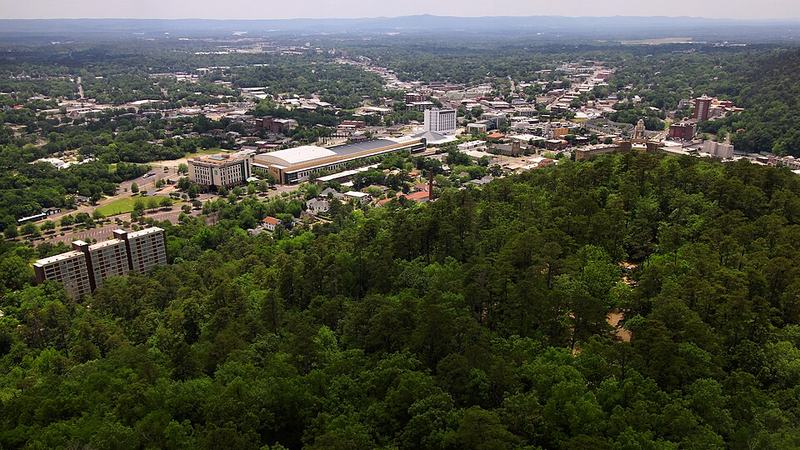 Hot Springs, Arkansas, viewed from the Mountain Tower above the forest.