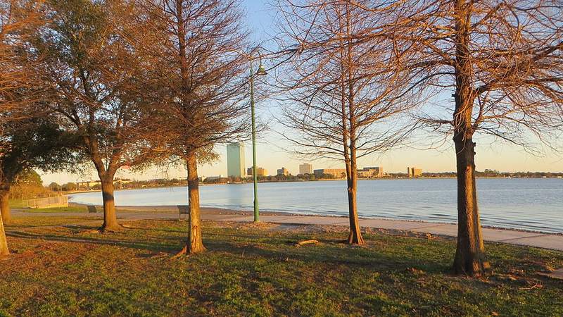 Trees along the lakefront in Lake Charles, Louisiana.