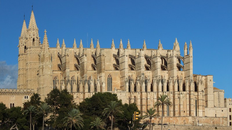 The Gothic cathedral of Santa Maria of Palma (La Seu) seen from the south-west above palm trees, under a clear blue sky, Palma, Mallorca.