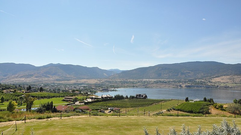 Vineyards overlooking Penticton, Okanagan Lake and surrounding hills.