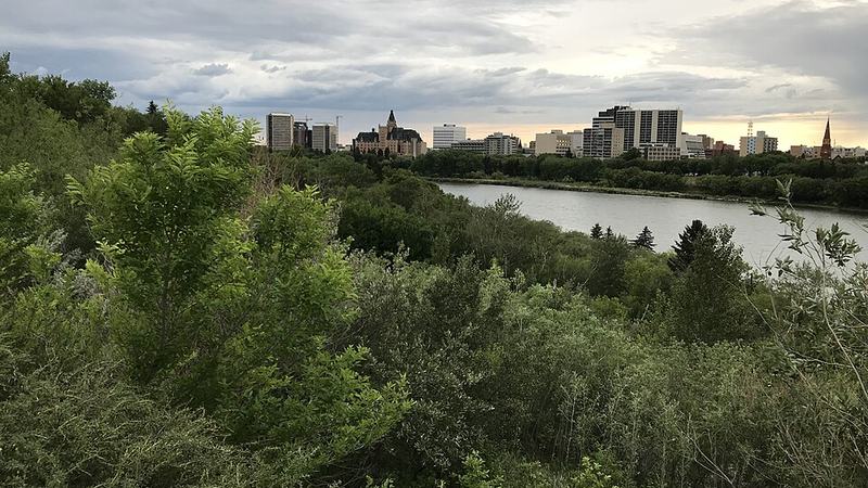 Saskatoon skyline across the South Saskatchewan River, with trees lining the riverbank.