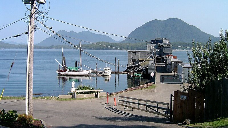 Fishing wharf and harbour in Tofino, with forested mountains across the water.